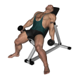 Dumbbell Curl - Alternate Incline
